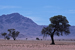 namibia 075